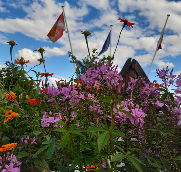 fleurs - Ville fleurie - Horbourg-Wihr