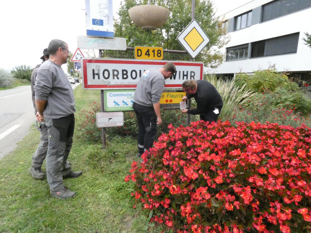 Une 3ème fleur pour Horbourg-Wihr