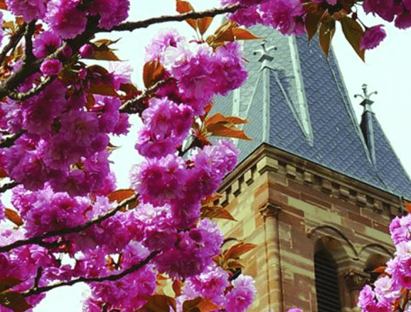 Messes Paroisse catholique