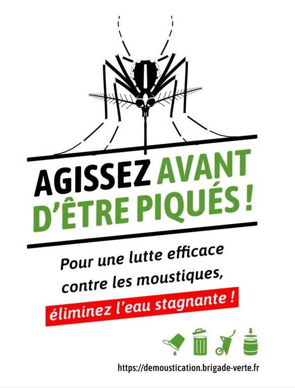 Colonisation par le moustique « tigre » : Nous avons tous un rôle à jouer !!!