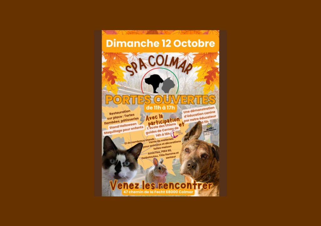 🐾 La SPA Colmar ouvre ses portes de 11h à 17h ! 🐾