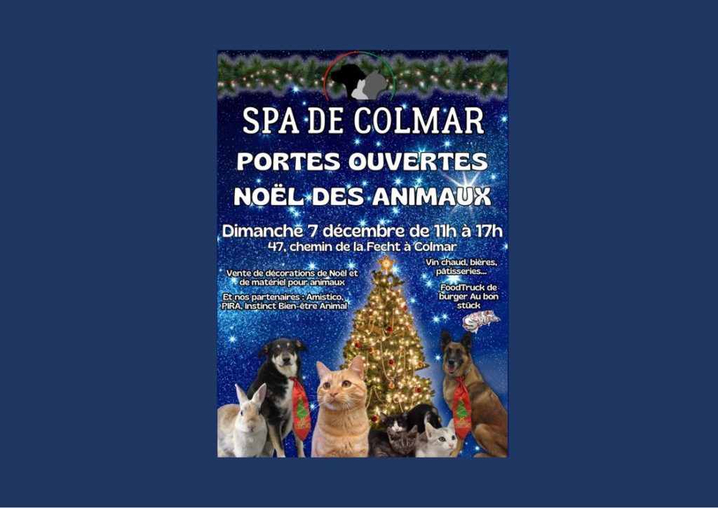 🎄🐾 Noël des Animaux à la Spa de Colmar ! 🐾🎄