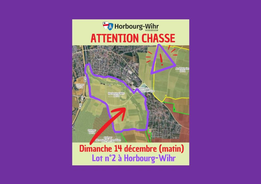 ATTENTION CHASSE : dimanche 14 décembre (matin) lot n°2 (sud de Horbourg-Wihr)