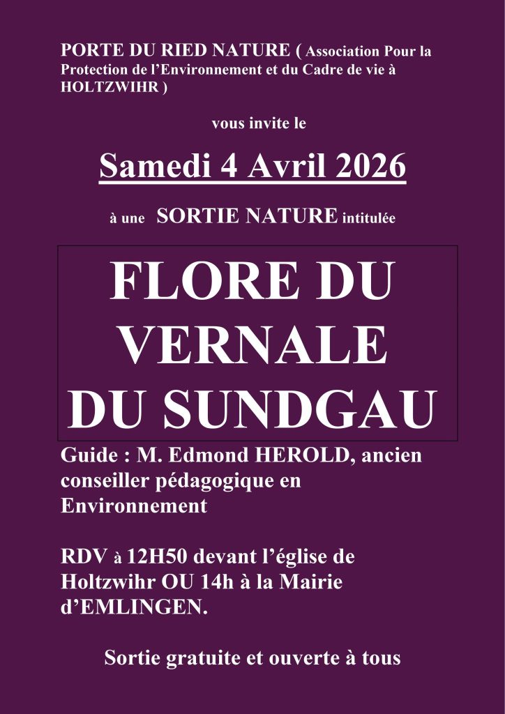 PORTE DU RIED NATURE : Sortie nature « FLORE DU VERNALE DU SUNDGAU »