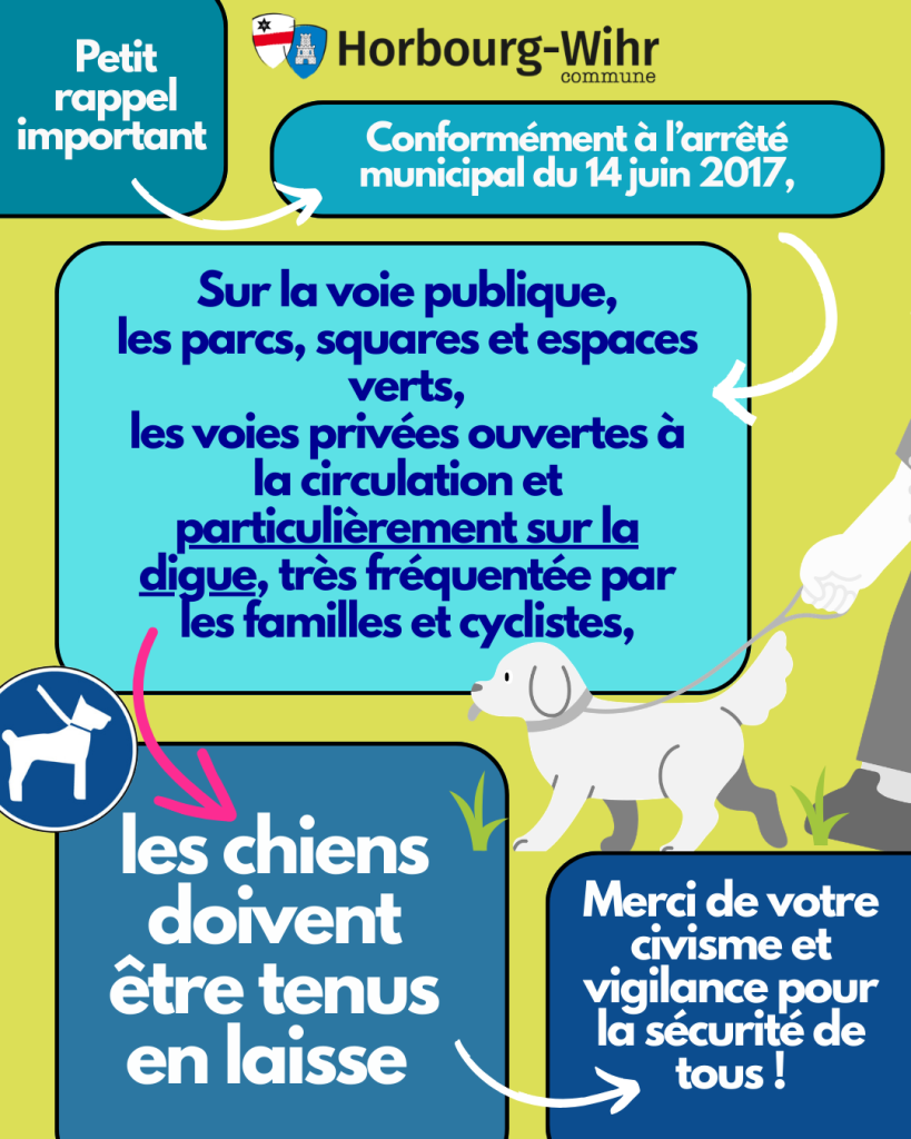 🐶 Petit rappel important :  Tenue des chiens en laisse !