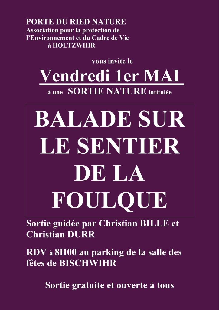 PORTE DU RIED NATURE : Sortie nature « BALADE SUR LE SENTIER DE LA FOULQUE »